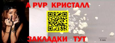 ECSTASY Камышлов