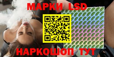 ECSTASY Камышлов