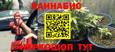 ECSTASY Камышлов