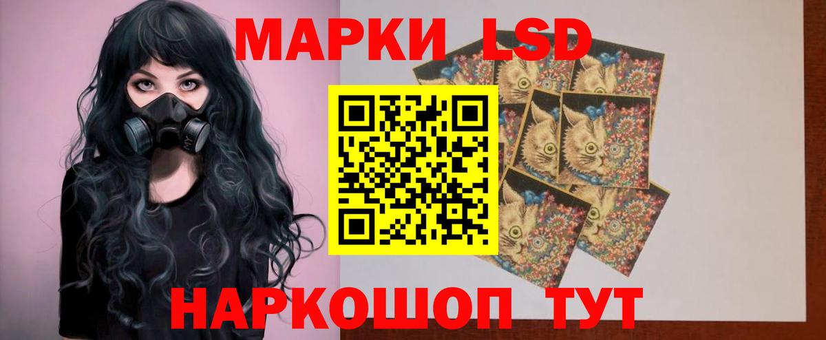 Псилоцибиновые грибы Касимов