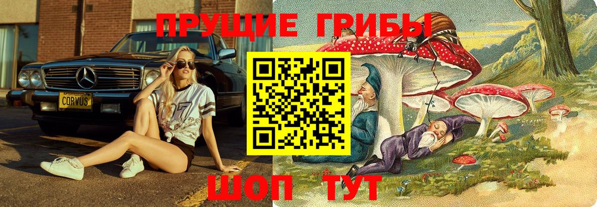 Галлюциногенные грибы GOLDEN TEACHER Касимов