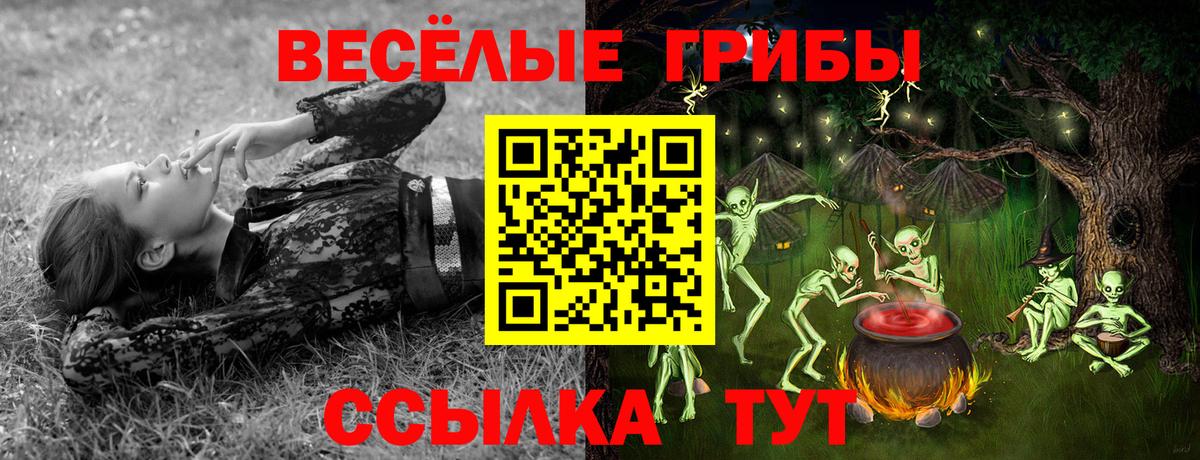Касимов  где можно купить наркотик  Вход с VPN  Псилоцибиновые грибы мухоморы 